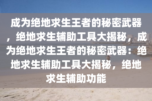 成为绝地求生王者的秘密武器，绝地求生辅助工具大揭秘，成为绝地求生王者的秘密武器：绝地求生辅助工具大揭秘，绝地求生辅助功能