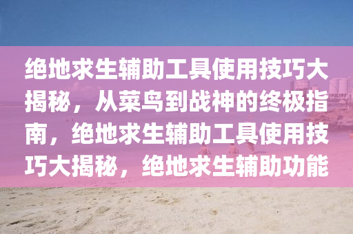 绝地求生辅助工具使用技巧大揭秘,从菜鸟到战神的终极指南,绝地求生辅助工具使用技巧大揭秘,绝地求生辅助功能