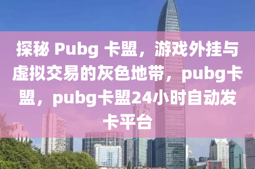 探秘 Pubg 卡盟，游戏外挂与虚拟交易的灰色地带，pubg卡盟，pubg卡盟24小时自动发卡平台