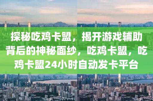 探秘吃鸡卡盟，揭开游戏辅助背后的神秘面纱，吃鸡卡盟，吃鸡卡盟24小时自动发卡平台