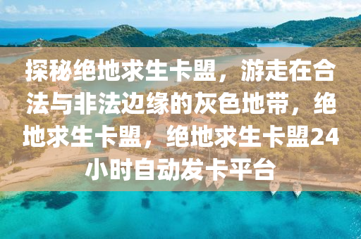探秘绝地求生卡盟，游走在合法与非法边缘的灰色地带，绝地求生卡盟，绝地求生卡盟24小时自动发卡平台