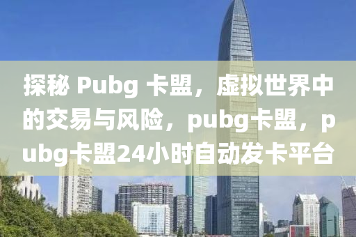 探秘 Pubg 卡盟，虚拟世界中的交易与风险，pubg卡盟，pubg卡盟24小时自动发卡平台