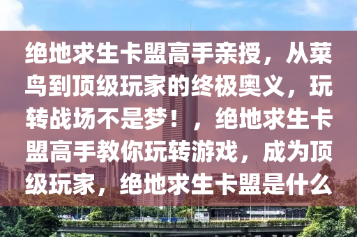 绝地求生卡盟高手亲授，从菜鸟到顶级玩家的终极奥义，玩转战场不是梦！，绝地求生卡盟高手教你玩转游戏，成为顶级玩家，绝地求生卡盟是什么