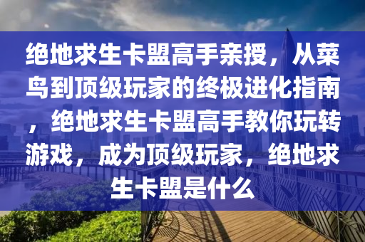 绝地求生卡盟高手亲授，从菜鸟到顶级玩家的终极进化指南，绝地求生卡盟高手教你玩转游戏，成为顶级玩家，绝地求生卡盟是什么
