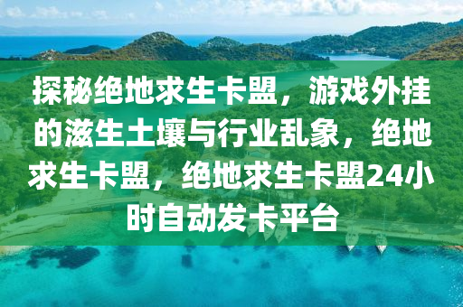探秘绝地求生卡盟，游戏外挂的滋生土壤与行业乱象，绝地求生卡盟，绝地求生卡盟24小时自动发卡平台