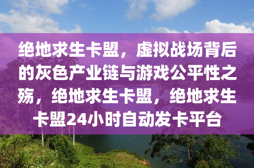 绝地求生卡盟，虚拟战场背后的灰色产业链与游戏公平性之殇，绝地求生卡盟，绝地求生卡盟24小时自动发卡平台