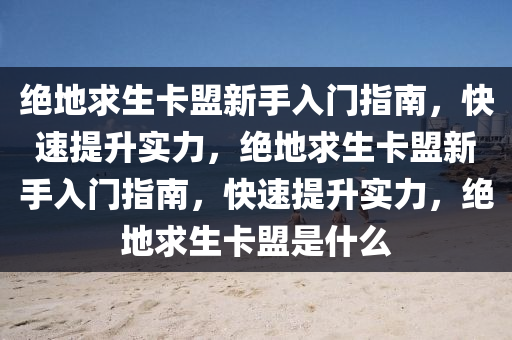 绝地求生卡盟新手入门指南，快速提升实力，绝地求生卡盟新手入门指南，快速提升实力，绝地求生卡盟是什么