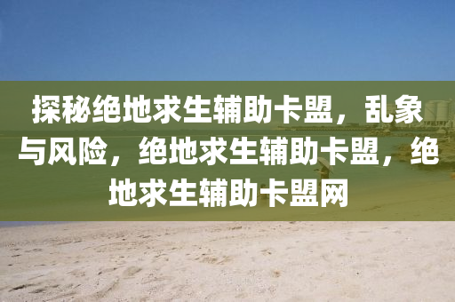 探秘绝地求生辅助卡盟，乱象与风险，绝地求生辅助卡盟，绝地求生辅助卡盟网