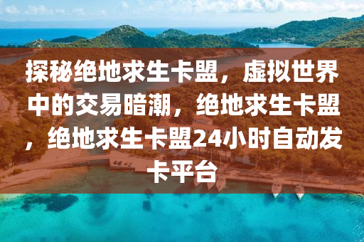 探秘绝地求生卡盟，虚拟世界中的交易暗潮，绝地求生卡盟，绝地求生卡盟24小时自动发卡平台