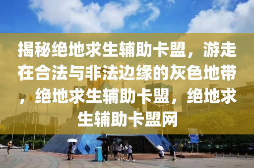 揭秘绝地求生辅助卡盟，游走在合法与非法边缘的灰色地带，绝地求生辅助卡盟，绝地求生辅助卡盟网