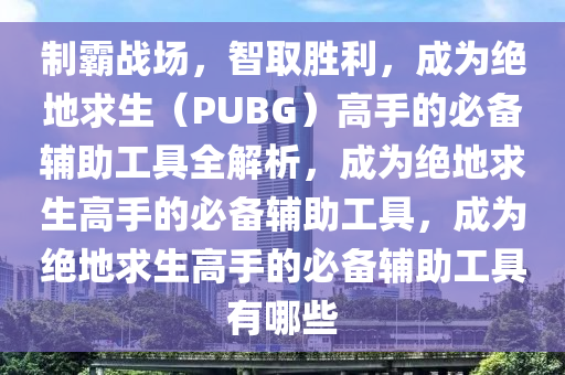 制霸战场,智取胜利,成为绝地求生(PUBG)高手的必备辅助工具全解析,成为绝地求生高手的必备辅助工具,成为绝地求生高手的必备辅助工具有哪些