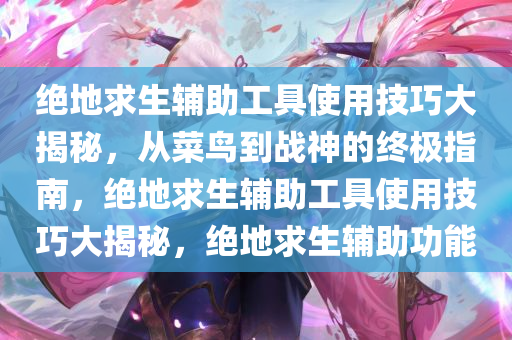 绝地求生辅助工具使用技巧大揭秘，从菜鸟到战神的终极指南，绝地求生辅助工具使用技巧大揭秘，绝地求生辅助功能