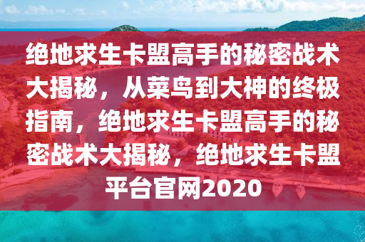 绝地求生卡盟高手的秘密战术大揭秘，从菜鸟到大神的终极指南，绝地求生卡盟高手的秘密战术大揭秘，绝地求生卡盟平台官网2020