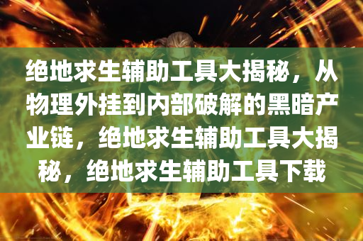 绝地求生辅助工具大揭秘,从物理外挂到内部破解的黑暗产业链,绝地求生辅助工具大揭秘,绝地求生辅助工具下载