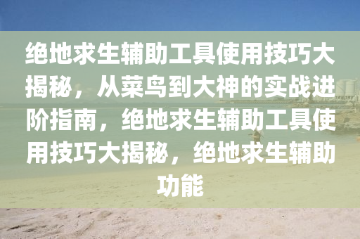 绝地求生辅助工具使用技巧大揭秘，从菜鸟到大神的实战进阶指南，绝地求生辅助工具使用技巧大揭秘，绝地求生辅助功能