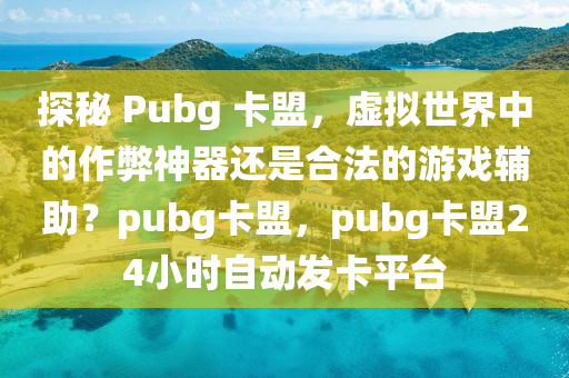探秘 Pubg 卡盟，虚拟世界中的作弊神器还是合法的游戏辅助？pubg卡盟，pubg卡盟24小时自动发卡平台