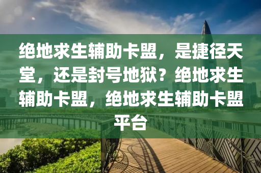 绝地求生辅助卡盟，是捷径天堂，还是封号地狱？绝地求生辅助卡盟，绝地求生辅助卡盟平台