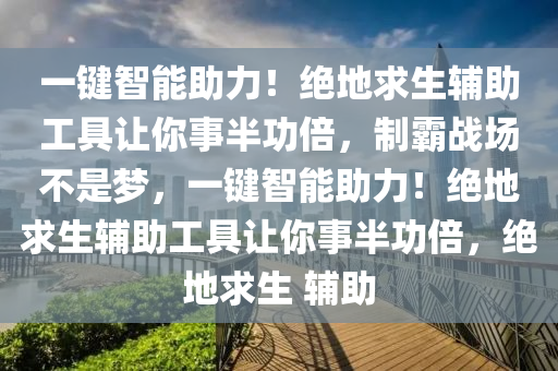 一键智能助力！绝地求生辅助工具让你事半功倍，制霸战场不是梦，一键智能助力！绝地求生辅助工具让你事半功倍，绝地求生 辅助