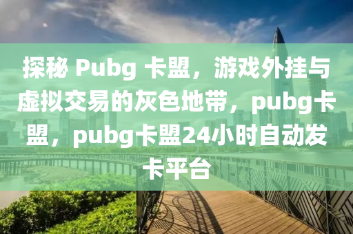 探秘 Pubg 卡盟，游戏外挂与虚拟交易的灰色地带，pubg卡盟，pubg卡盟24小时自动发卡平台