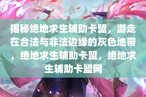 揭秘绝地求生辅助卡盟，游走在合法与非法边缘的灰色地带，绝地求生辅助卡盟，绝地求生辅助卡盟网