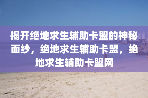 揭开绝地求生辅助卡盟的神秘面纱，绝地求生辅助卡盟，绝地求生辅助卡盟网