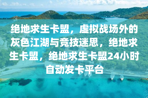 绝地求生卡盟，虚拟战场外的灰色江湖与竞技迷思，绝地求生卡盟，绝地求生卡盟24小时自动发卡平台