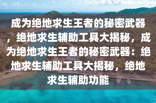 成为绝地求生王者的秘密武器，绝地求生辅助工具大揭秘，成为绝地求生王者的秘密武器：绝地求生辅助工具大揭秘，绝地求生辅助功能