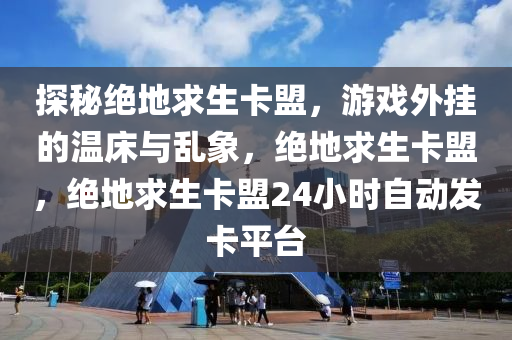 探秘绝地求生卡盟，游戏外挂的温床与乱象，绝地求生卡盟，绝地求生卡盟24小时自动发卡平台
