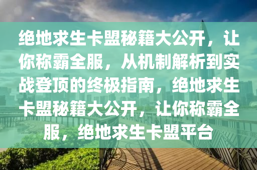 绝地求生卡盟秘籍大公开，让你称霸全服，从机制解析到实战登顶的终极指南，绝地求生卡盟秘籍大公开，让你称霸全服，绝地求生卡盟平台