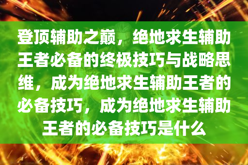 登顶辅助之巅，绝地求生辅助王者必备的终极技巧与战略思维，成为绝地求生辅助王者的必备技巧，成为绝地求生辅助王者的必备技巧是什么