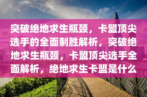 突破绝地求生瓶颈，卡盟顶尖选手的全面制胜解析，突破绝地求生瓶颈，卡盟顶尖选手全面解析，绝地求生卡盟是什么