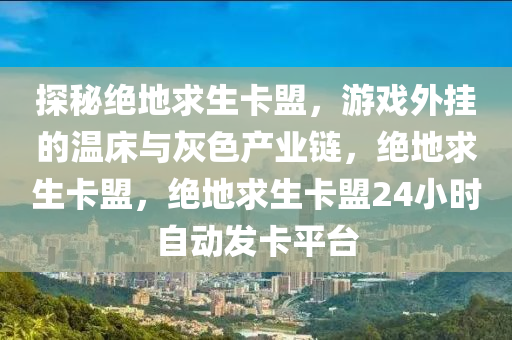 探秘绝地求生卡盟，游戏外挂的温床与灰色产业链，绝地求生卡盟，绝地求生卡盟24小时自动发卡平台