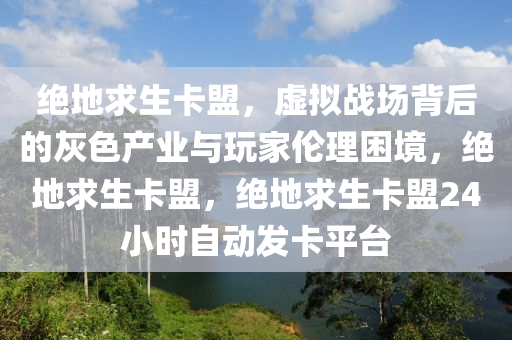 绝地求生卡盟，虚拟战场背后的灰色产业与玩家伦理困境，绝地求生卡盟，绝地求生卡盟24小时自动发卡平台