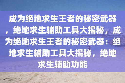成为绝地求生王者的秘密武器，绝地求生辅助工具大揭秘，成为绝地求生王者的秘密武器：绝地求生辅助工具大揭秘，绝地求生辅助功能