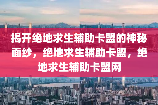 揭开绝地求生辅助卡盟的神秘面纱，绝地求生辅助卡盟，绝地求生辅助卡盟网