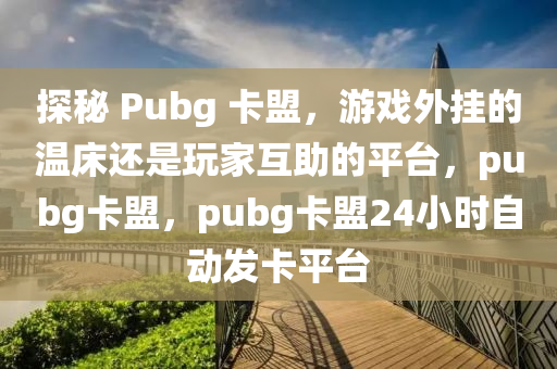 探秘 Pubg 卡盟，游戏外挂的温床还是玩家互助的平台，pubg卡盟，pubg卡盟24小时自动发卡平台