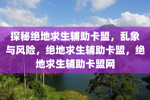 探秘绝地求生辅助卡盟，乱象与风险，绝地求生辅助卡盟，绝地求生辅助卡盟网