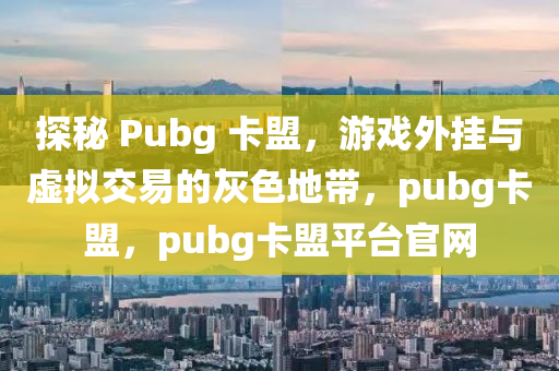 探秘 Pubg 卡盟，游戏外挂与虚拟交易的灰色地带，pubg卡盟，pubg卡盟平台官网