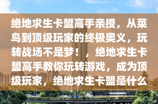 绝地求生卡盟高手亲授，从菜鸟到顶级玩家的终极奥义，玩转战场不是梦！，绝地求生卡盟高手教你玩转游戏，成为顶级玩家，绝地求生卡盟是什么