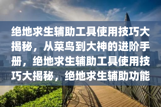 绝地求生辅助工具使用技巧大揭秘，从菜鸟到大神的进阶手册，绝地求生辅助工具使用技巧大揭秘，绝地求生辅助功能