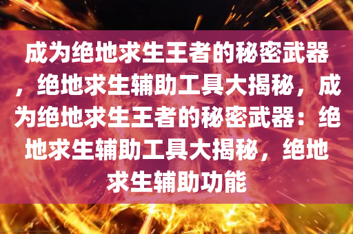 成为绝地求生王者的秘密武器,绝地求生辅助工具大揭秘,成为绝地求生王者的秘密武器:绝地求生辅助工具大揭秘,绝地求生辅助功能