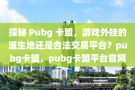 探秘 Pubg 卡盟，游戏外挂的滋生地还是合法交易平台？pubg卡盟，pubg卡盟平台官网