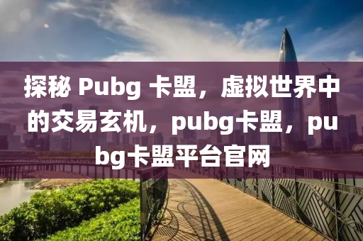 探秘 Pubg 卡盟，虚拟世界中的交易玄机，pubg卡盟，pubg卡盟平台官网
