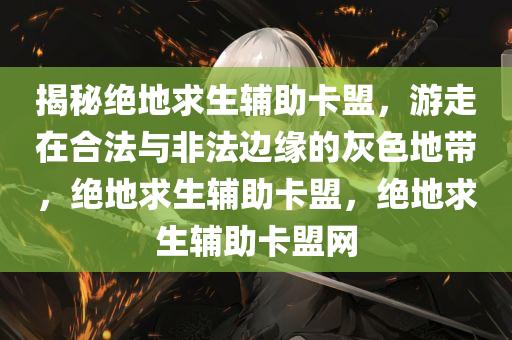 揭秘绝地求生辅助卡盟，游走在合法与非法边缘的灰色地带，绝地求生辅助卡盟，绝地求生辅助卡盟网