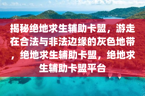 揭秘绝地求生辅助卡盟，游走在合法与非法边缘的灰色地带，绝地求生辅助卡盟，绝地求生辅助卡盟平台