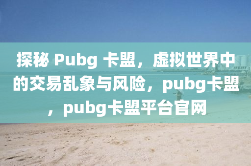 探秘 Pubg 卡盟，虚拟世界中的交易乱象与风险，pubg卡盟，pubg卡盟平台官网