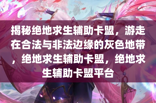 揭秘绝地求生辅助卡盟，游走在合法与非法边缘的灰色地带，绝地求生辅助卡盟，绝地求生辅助卡盟平台