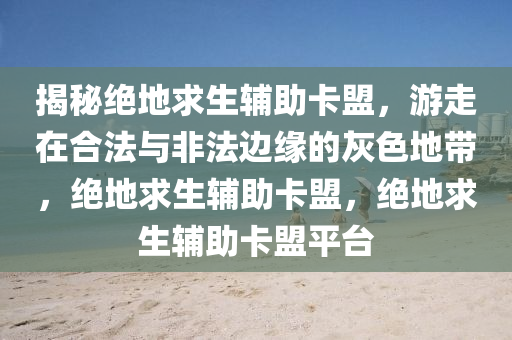 揭秘绝地求生辅助卡盟，游走在合法与非法边缘的灰色地带，绝地求生辅助卡盟，绝地求生辅助卡盟平台